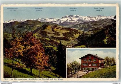 8497 Fischenthal - Blick vom Berggasthaus Hörnlikulm ins Tösstal und die... - 10603865