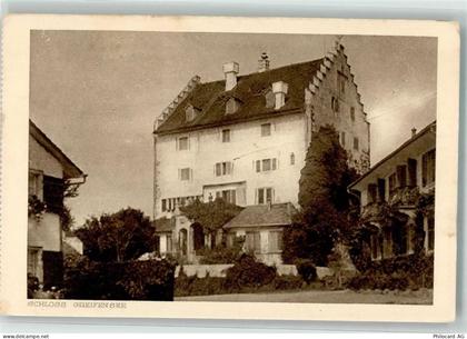 8606 Greifensee - Schloss - 39691901