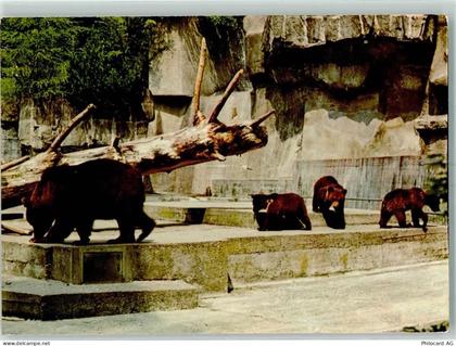 8135 Langnau am Albis - Wildpark Langenberg Bären - 10392062