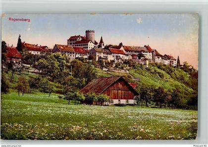 8158 Regensberg - 10198182