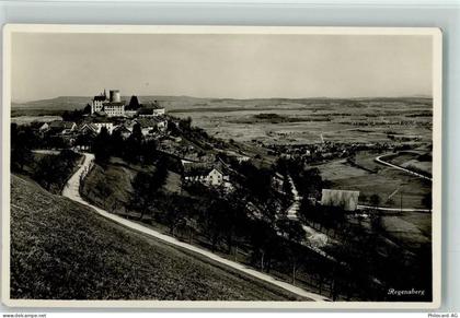 8158 Regensberg - 13113058