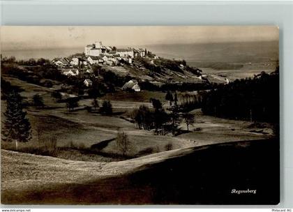 8158 Regensberg - 13113059