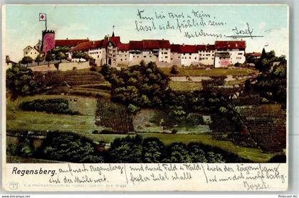 8158 Regensberg 1902 - 38025138