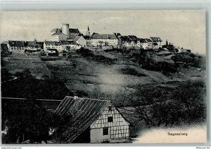 8158 Regensberg - 1910 - 13113062