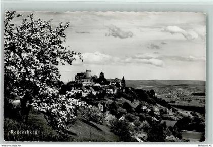 8158 Regensberg - Feldpost - 10198195