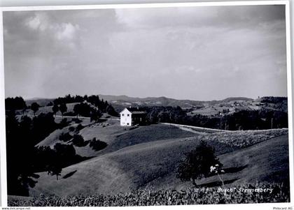 8499 Sternenberg - Buech - 50798710