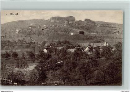 8816 Hirzel - 13218106