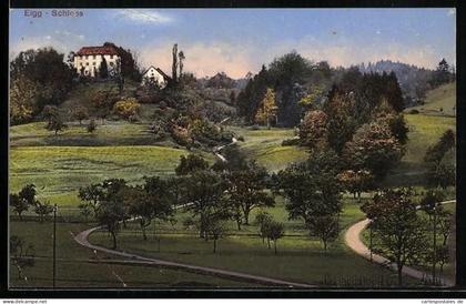 AK Elgg, Blick zum Schloss