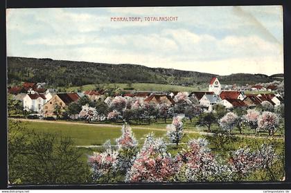 AK Fehraltorf, Totalansicht