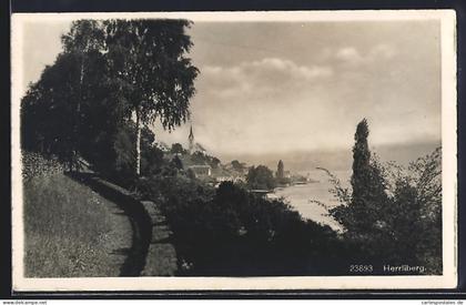 AK Herrliberg, Wegpartie zum Ort
