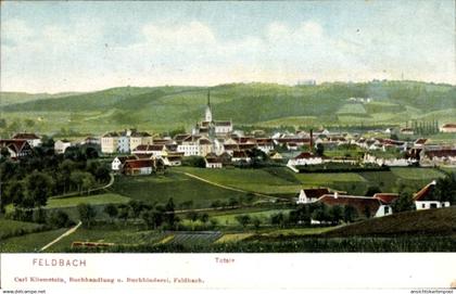 CPA Feldbach Hombrechtikon Kanton Zürich, Stadtansicht, Kirche, Gebäude, Landschaft, Felder