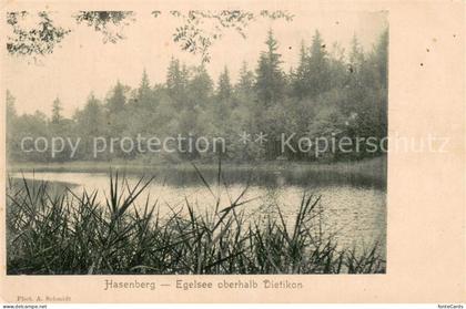 Dietikon ZH Hasenberg Egelseepartie