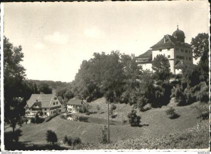 Grueningen ZH Grueningen Schloss Muehle x 1960