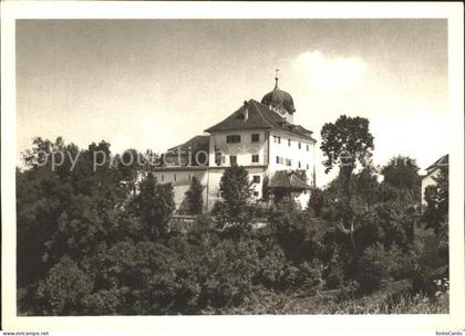 Grueningen ZH Schloss Grueningen