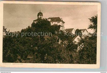 Grueningen ZH Schloss Grueningen