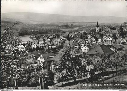 Hoengg Zuerich Panorama Blick ins Limmattal Baumbluete
