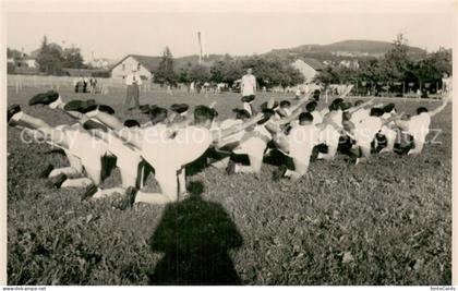 Hoengg Zuerich Turnfest