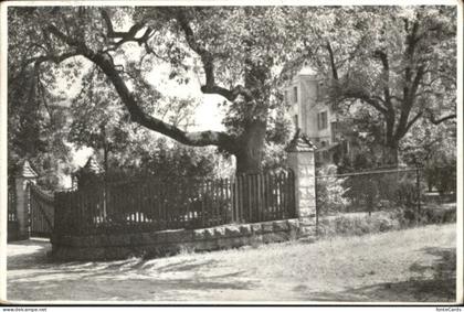 Horgen ZH Horgen Toechter Institut