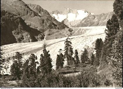 Kuesnacht Blaukreuzjugendwerk
Aletschgletscher