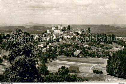 Regensberg Dielsdorf Panorama