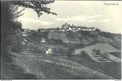Regensberg Dielsdorf ZH Regensberg Feldpost ungelaufen ca. 1910