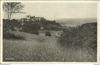 Regensberg Dielsdorf ZH Regensberg  x 1916