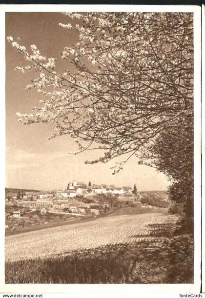 Regensberg Dielsdorf ZH Regensberg  x 1952