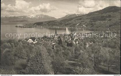 Richterswil Panorama