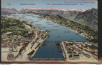 Zuerich Bruecken See Alpen