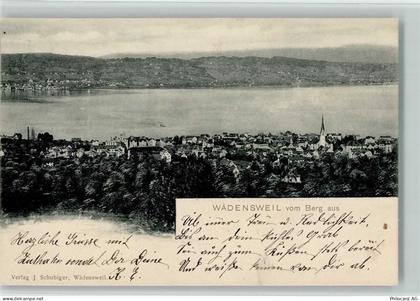 8820 Wädenswil - 1901 - 13112244