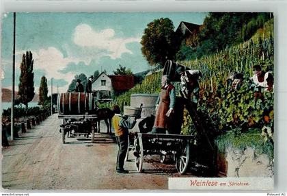 Zürichsee 1907 - Weinlese Trauben - 13291026