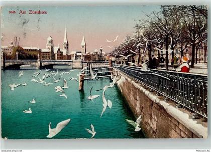 Zürichsee 1918 - Möwen Winter - 39489471
