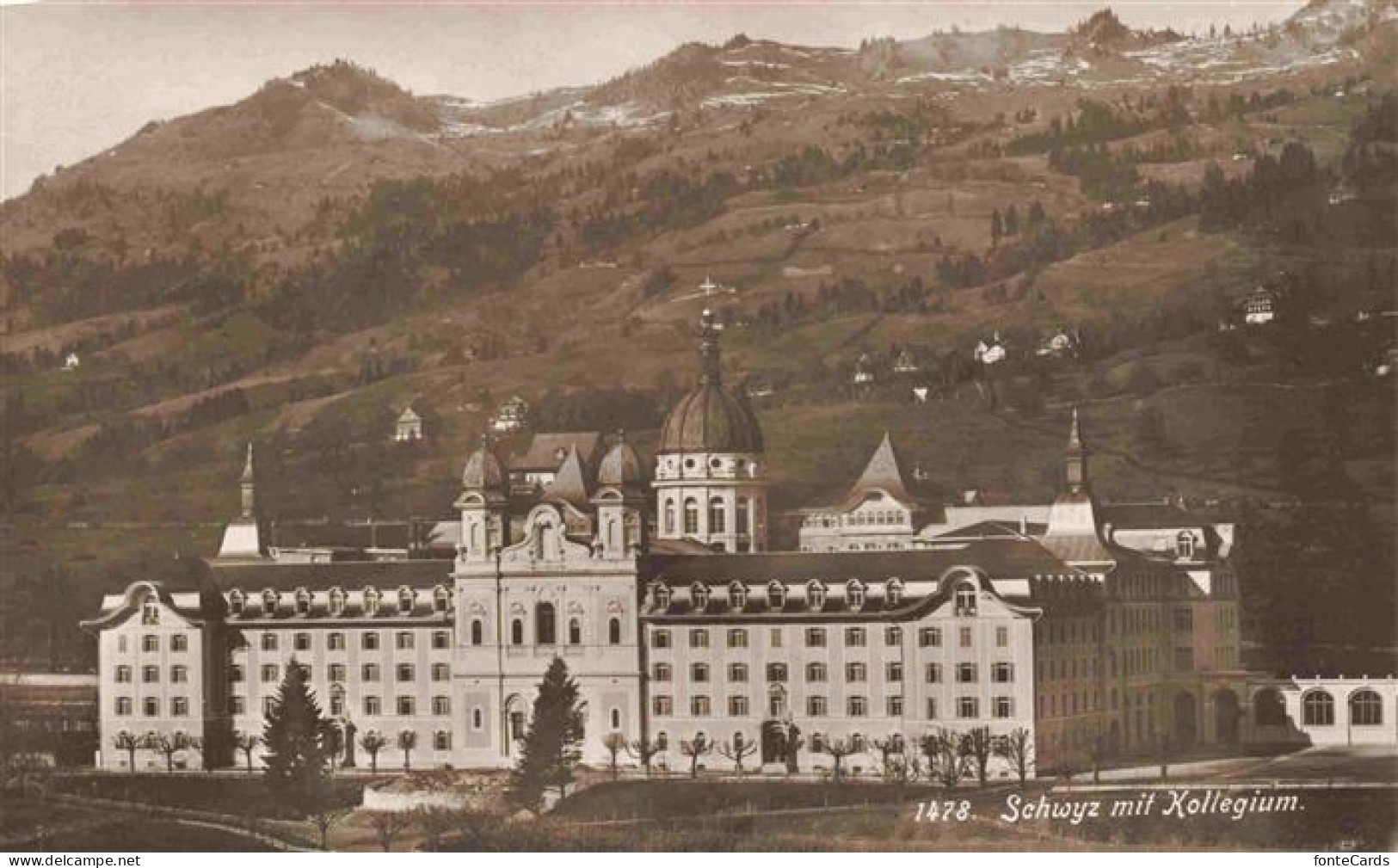 SCHWYZ SZ Kollegin