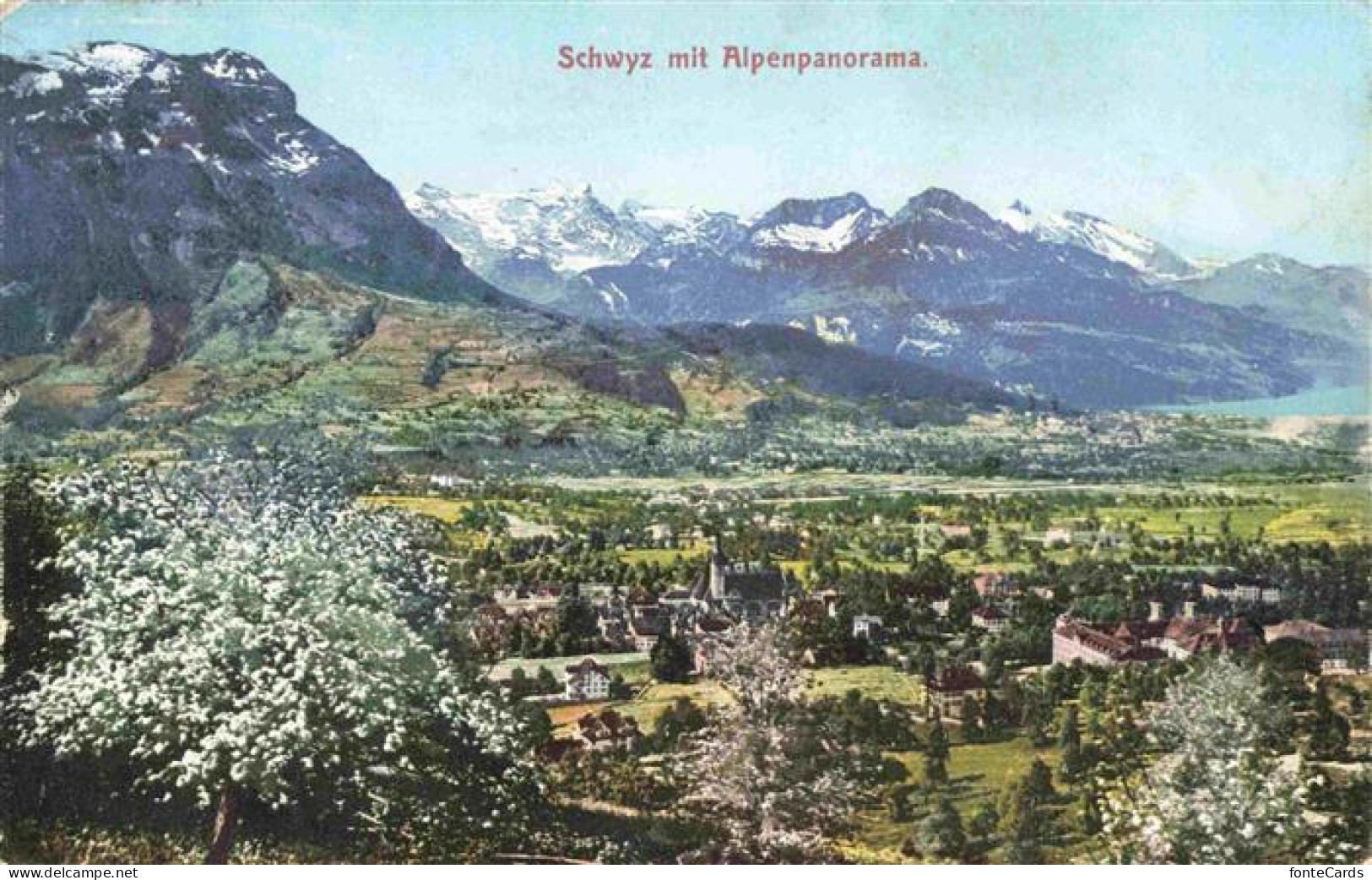 SCHWYZ SZ mit Alpenpanorama