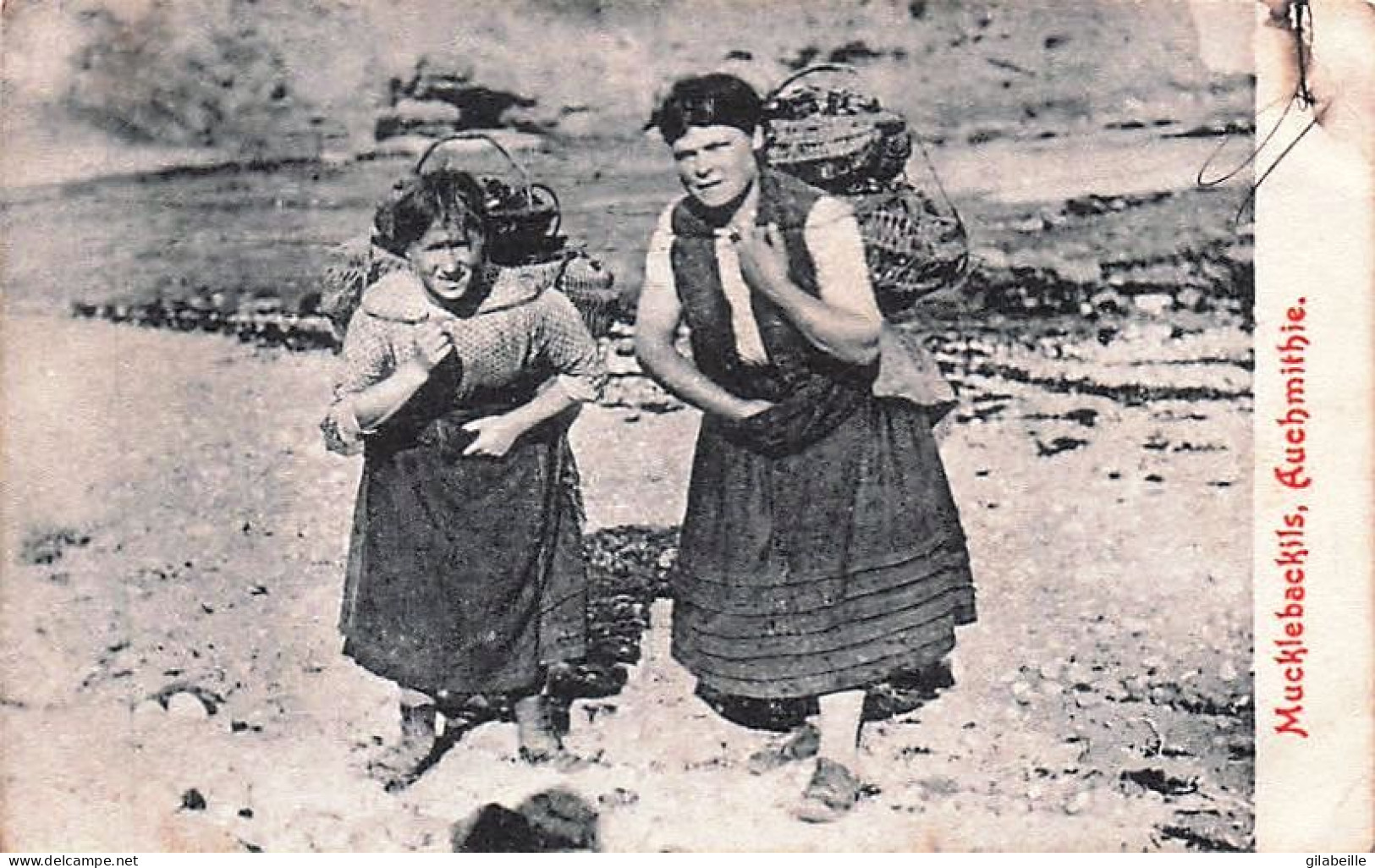 Scotland - Angus - Mucklebackils, Auchmithie