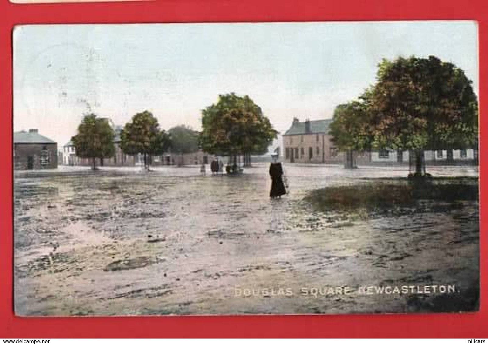 SCOTLAND  ROXBURGHSHIRE  NEWCASTLETON pu 1906