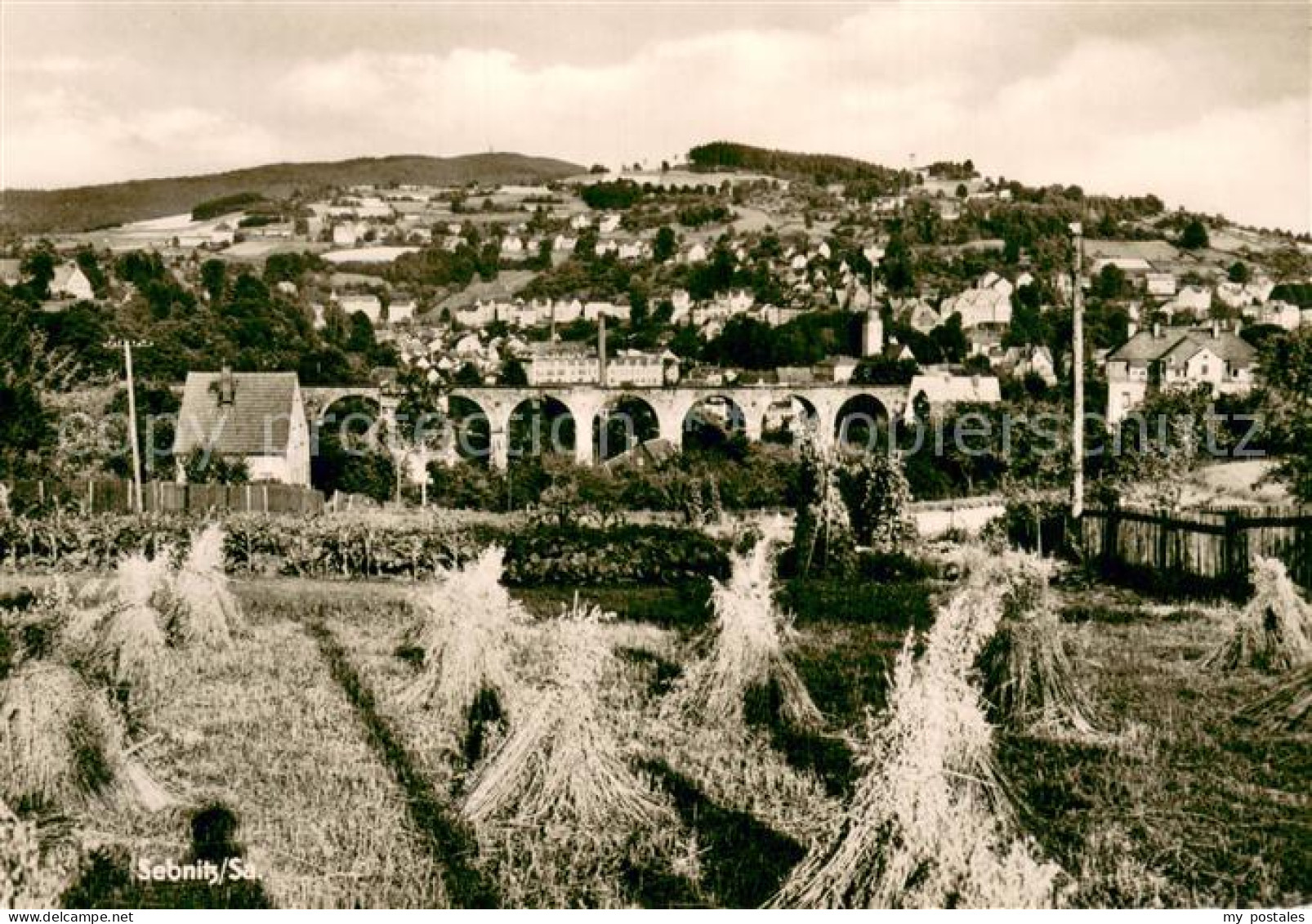 Sebnitz Panorama