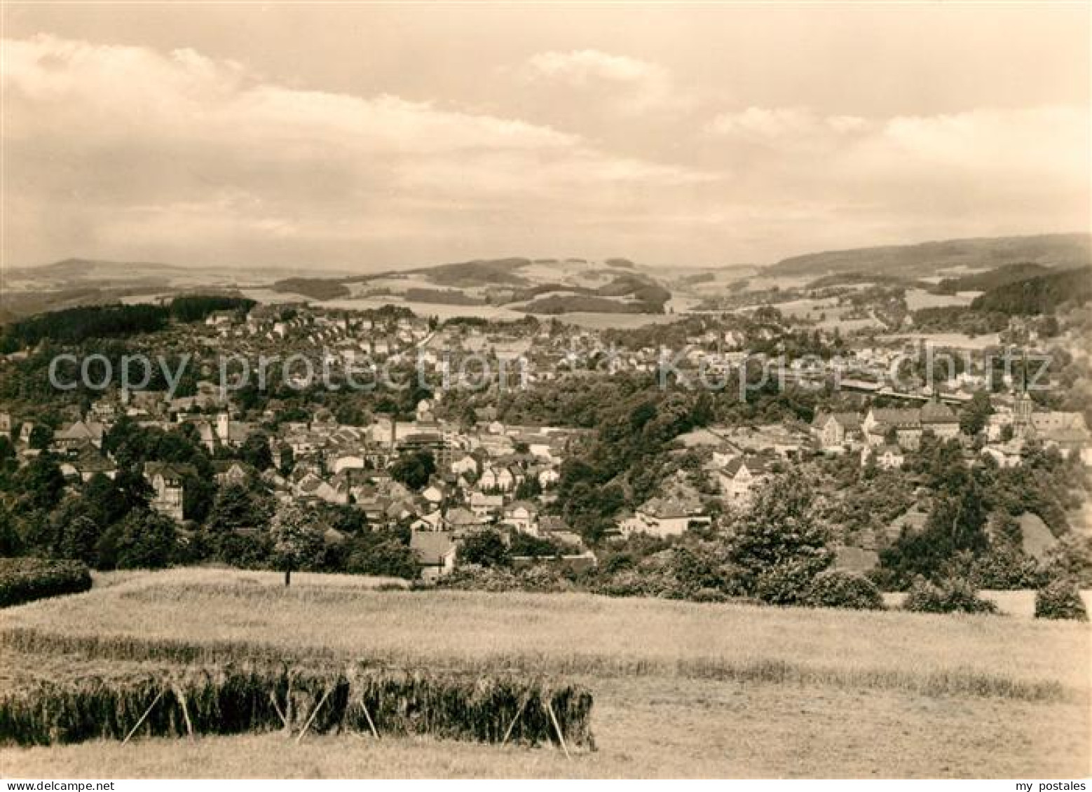 Sebnitz Panorama