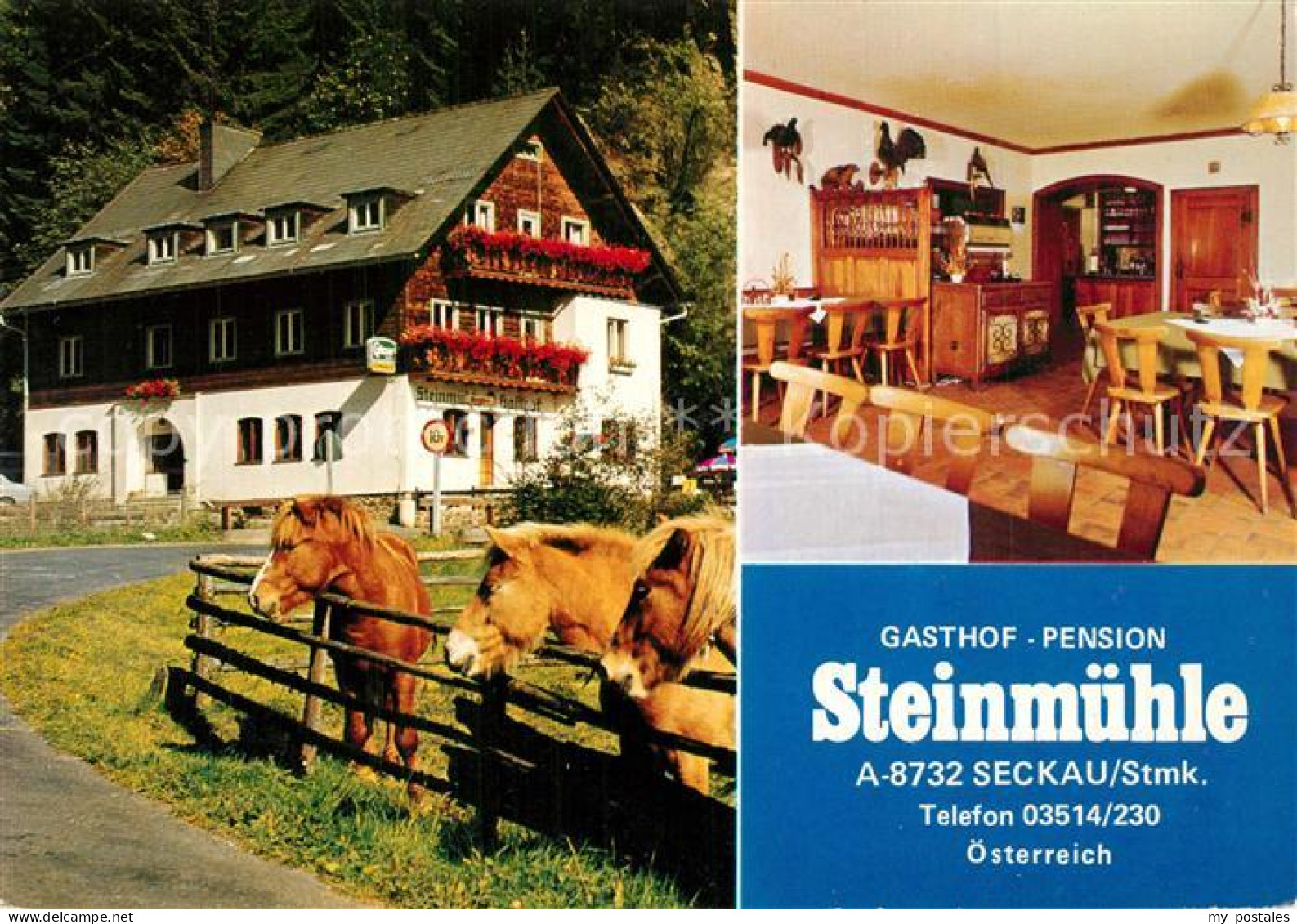 Seckau Gasthof Pension Steinmuehle Gaststube