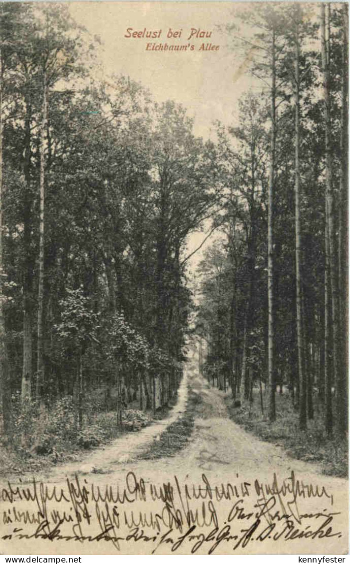 Seelust bei Plau, Eichbaums Allee