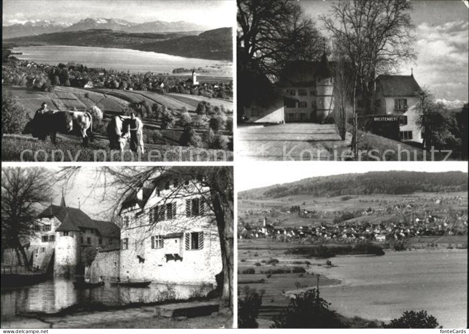 Seengen AG am Hallwilersee