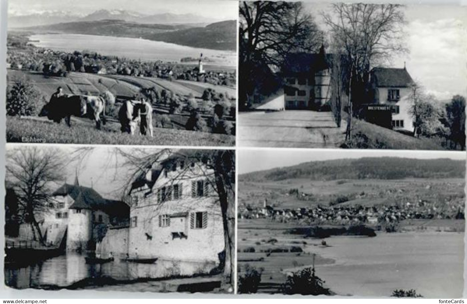 Seengen Hallwilersee