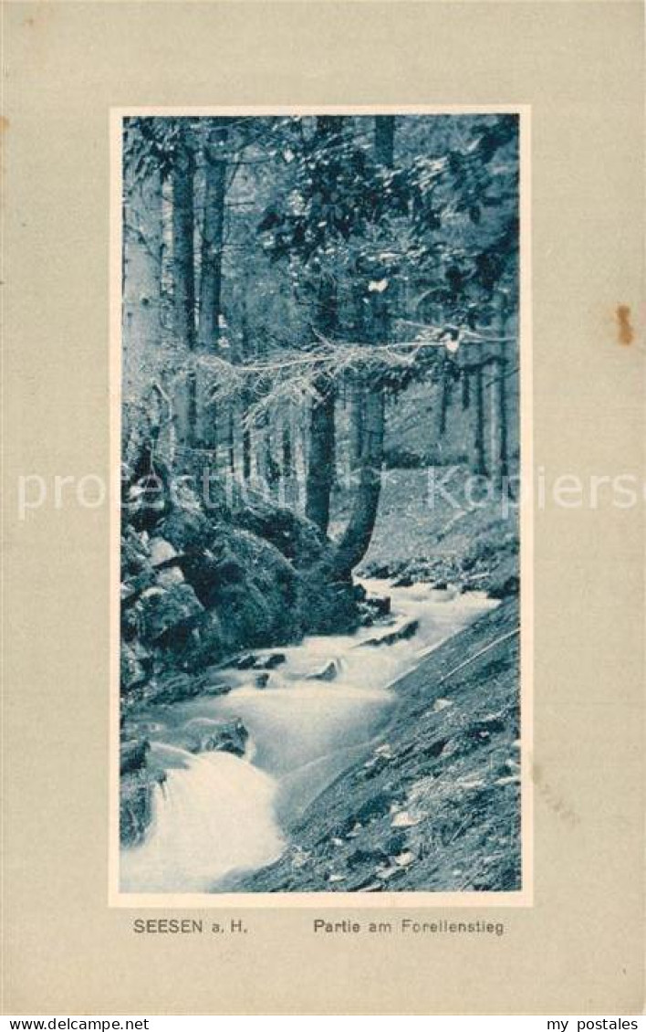 Seesen Harz Forellenstieg