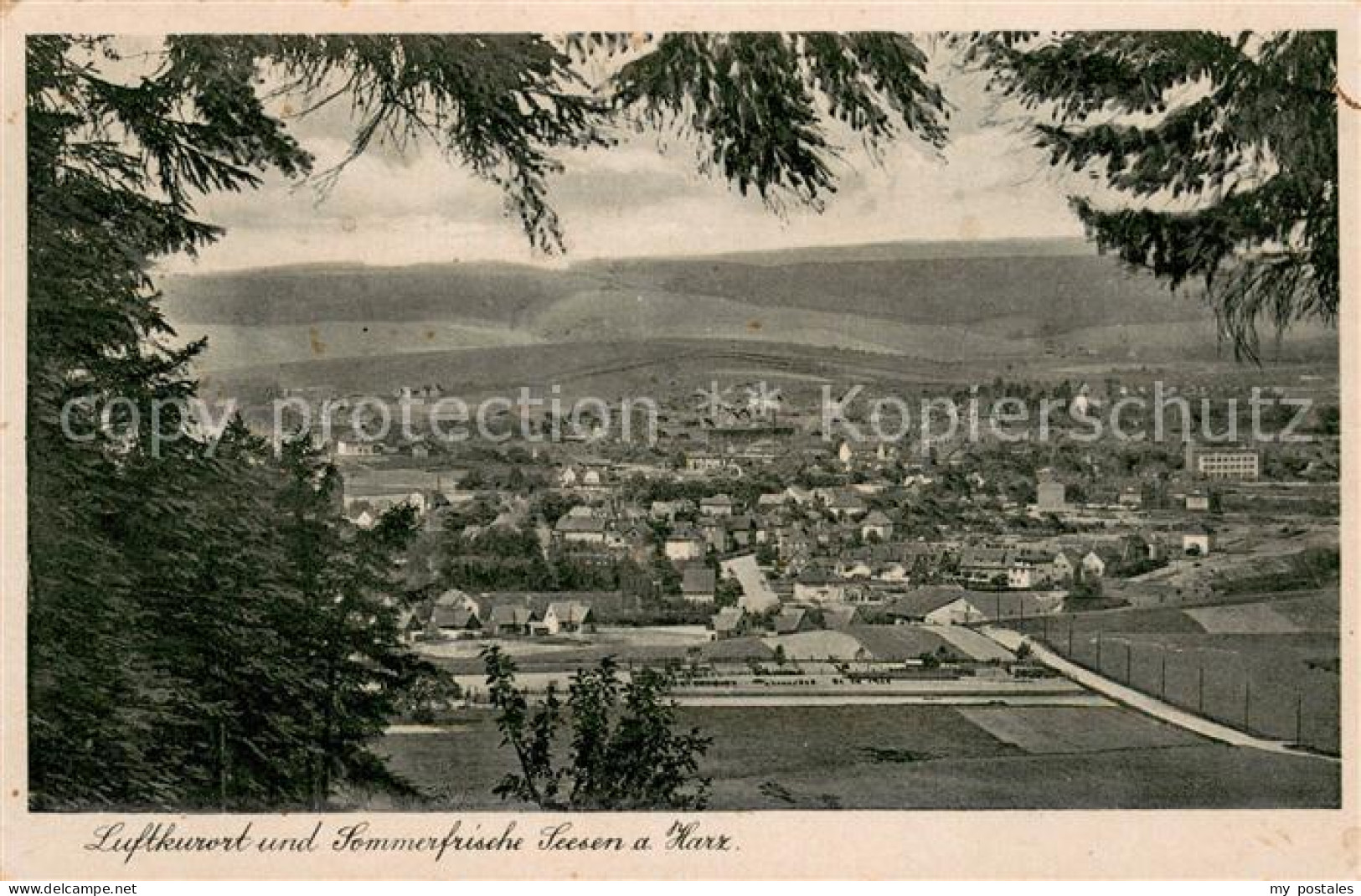 Seesen Harz Panorama