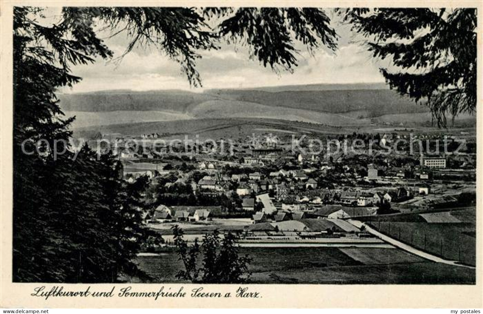 Seesen Harz Panorama Luftkurort Sommerfrische