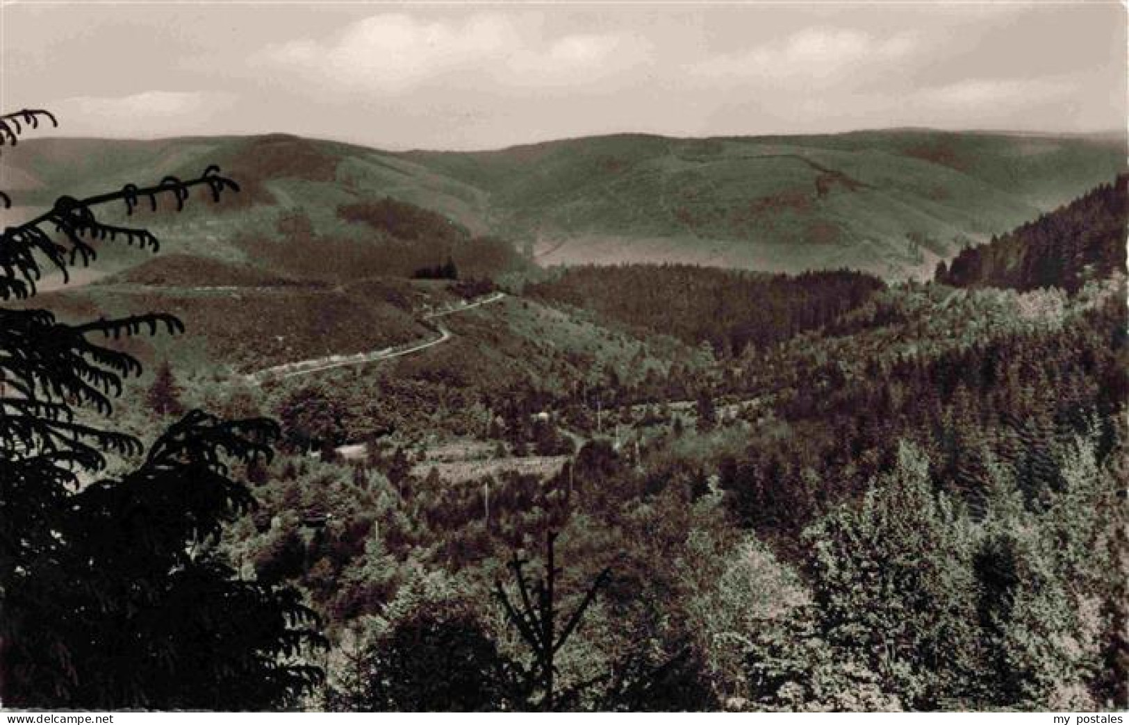 Seesen Harz Panorama Weg zwischen Seesen und Lautenthal