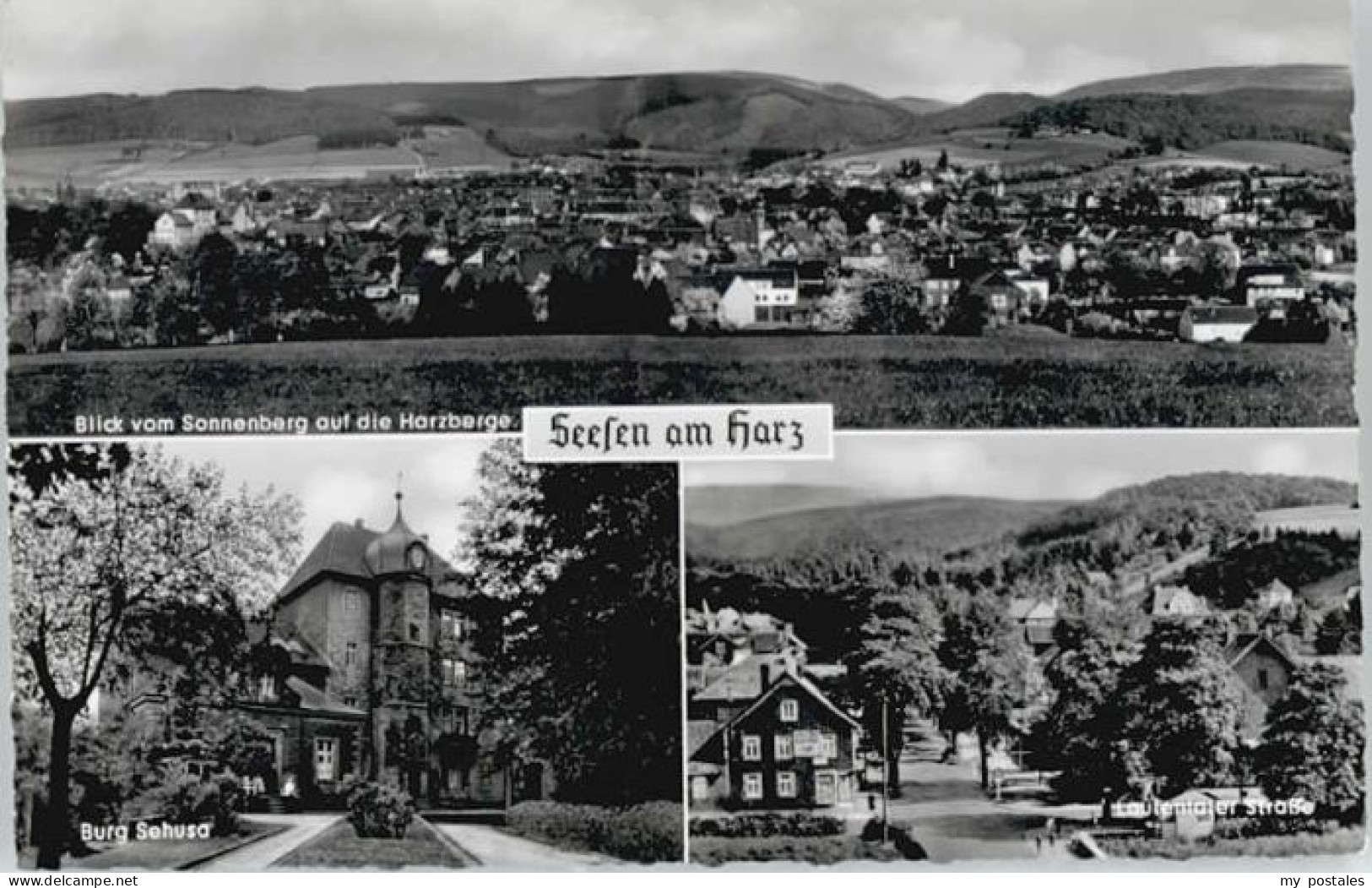 Seesen Harz Seesen Burg Sehusa Lautentaler Strasse