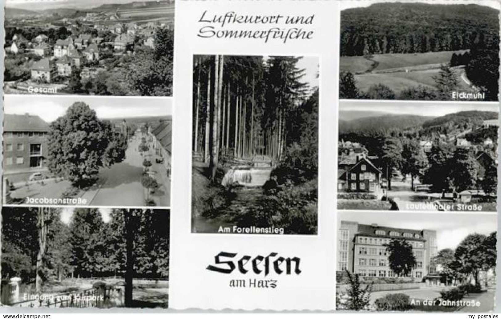Seesen Harz Seesen Forellenstieg Lautenthalerstrasse