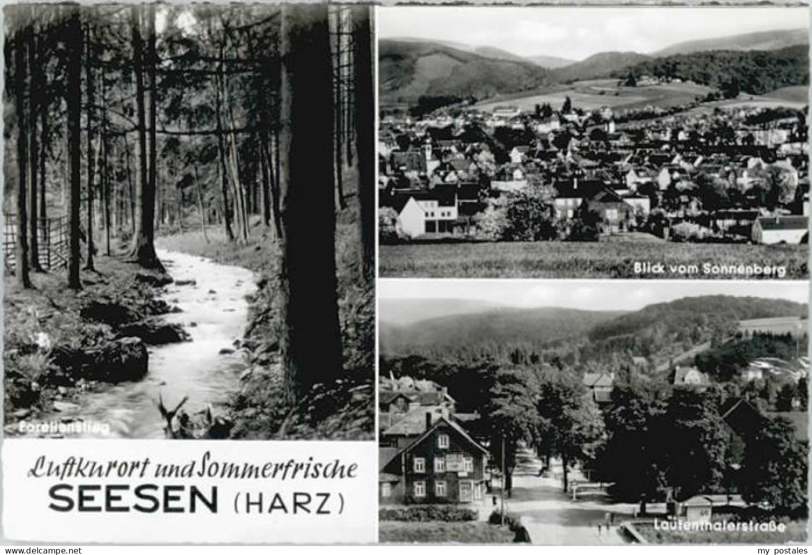 Seesen Harz Seesen Forellenstieg Lautenthalerstrasse