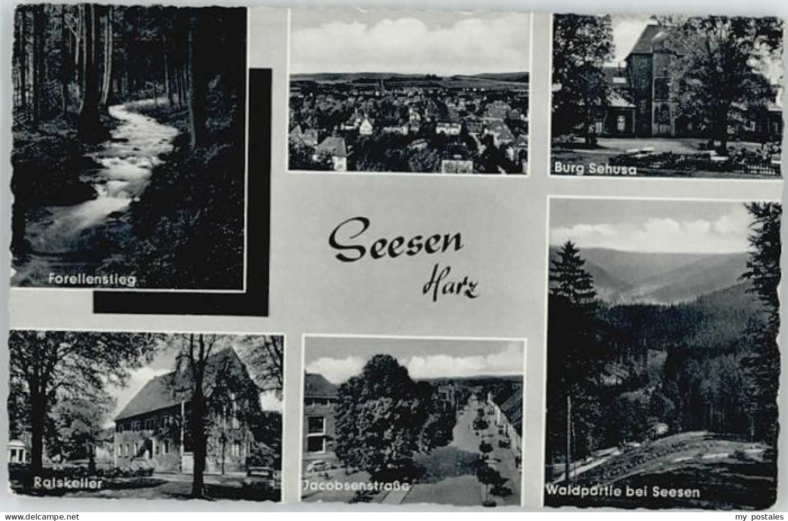 Seesen Harz Seesen Forellenstieg Sonnenberg